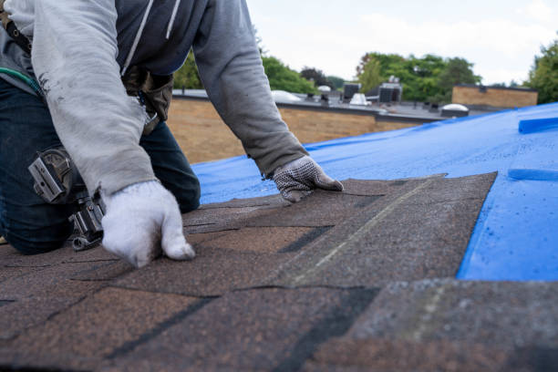 Best Flat Roof Repair Services  in Livonia, MI