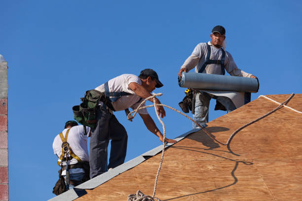 Best Best Roofing Contractors  in Livonia, MI