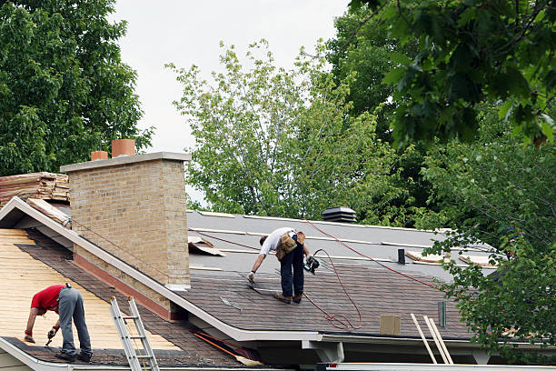 Best Storm Damage Roof Repair  in Livonia, MI