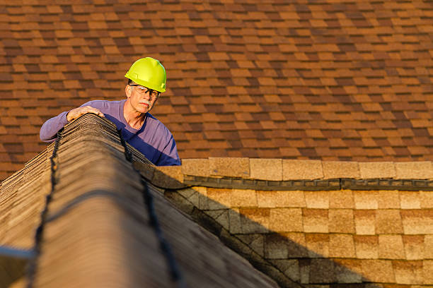 Best Roof Repair Services  in Livonia, MI