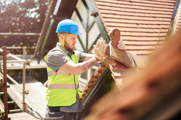 Best Roof Maintenance Services  in Livonia, MI
